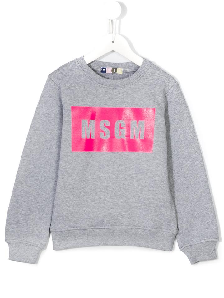 Msgm Kids Logo Print Sweatshirt, Toddler Girl's, Size: 4 Yrs, Grey