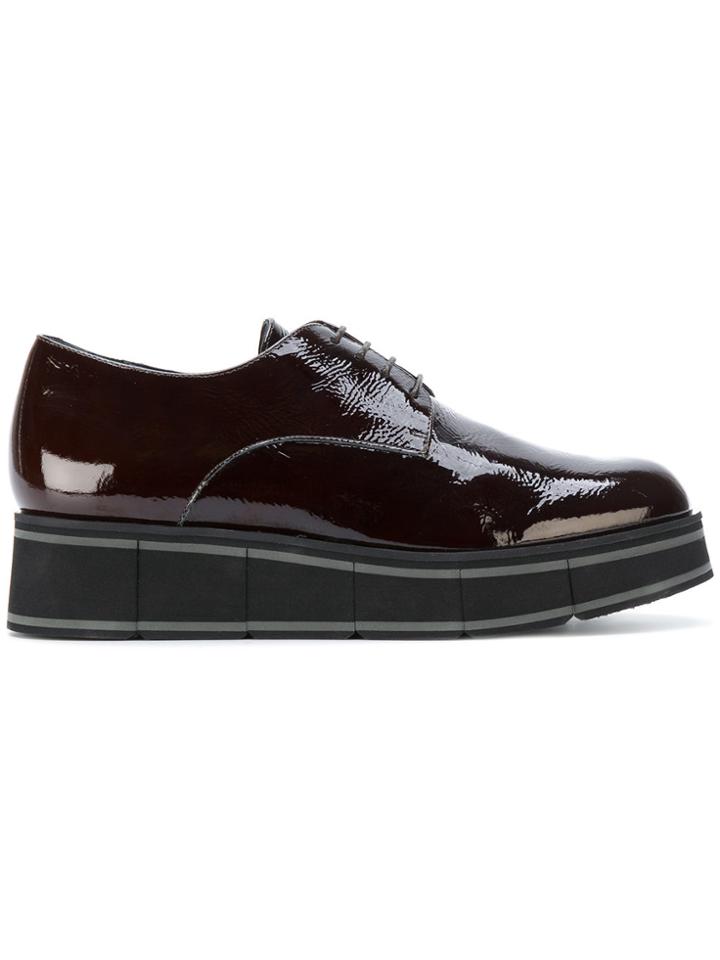 Paloma Barceló Wedged Oxford Shoes - Brown