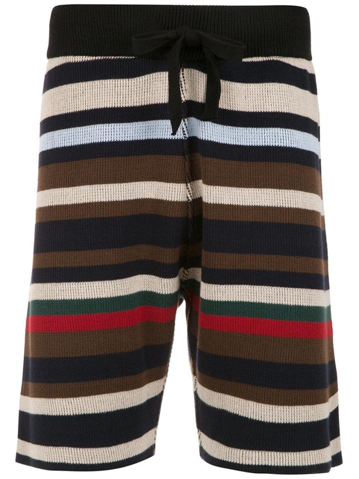 Osklen Striped Knit Shorts - Multicolour