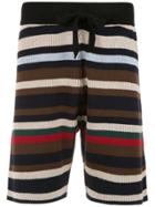Osklen Striped Knit Shorts - Multicolour