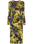 Dolce & Gabbana Floral Grape Print Dress - Yellow