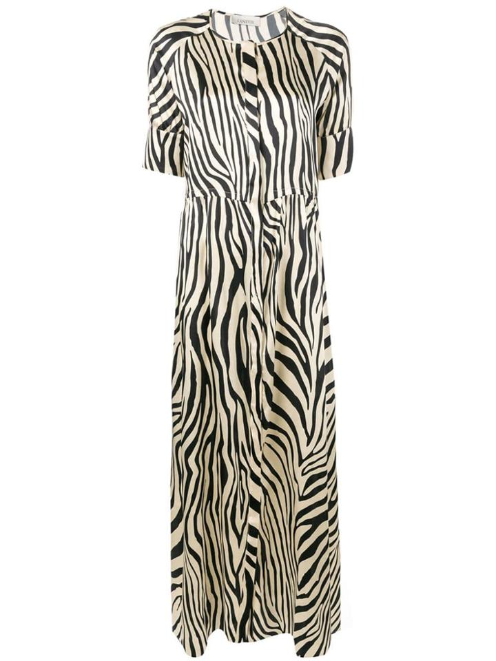 Laneus Zebra Print Flared Maxi Dress - Neutrals