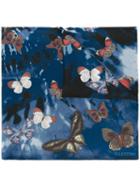 Valentino 'jamaican Butterflies' Scarf, Women's, Blue, Silk