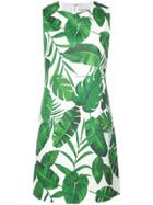 Alice+olivia Leaves Print Dress - Green