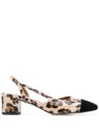 Paris Texas Leopard Print Pumps - Brown