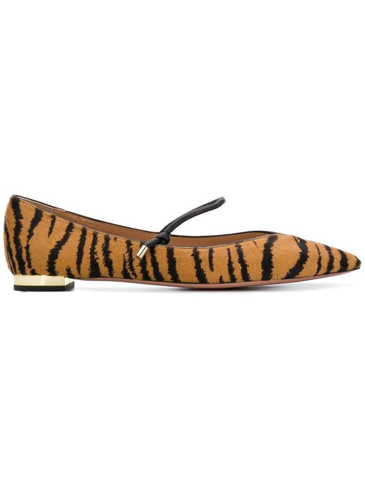 Aquazzura Tiger Print Ballerina Pumps - Brown