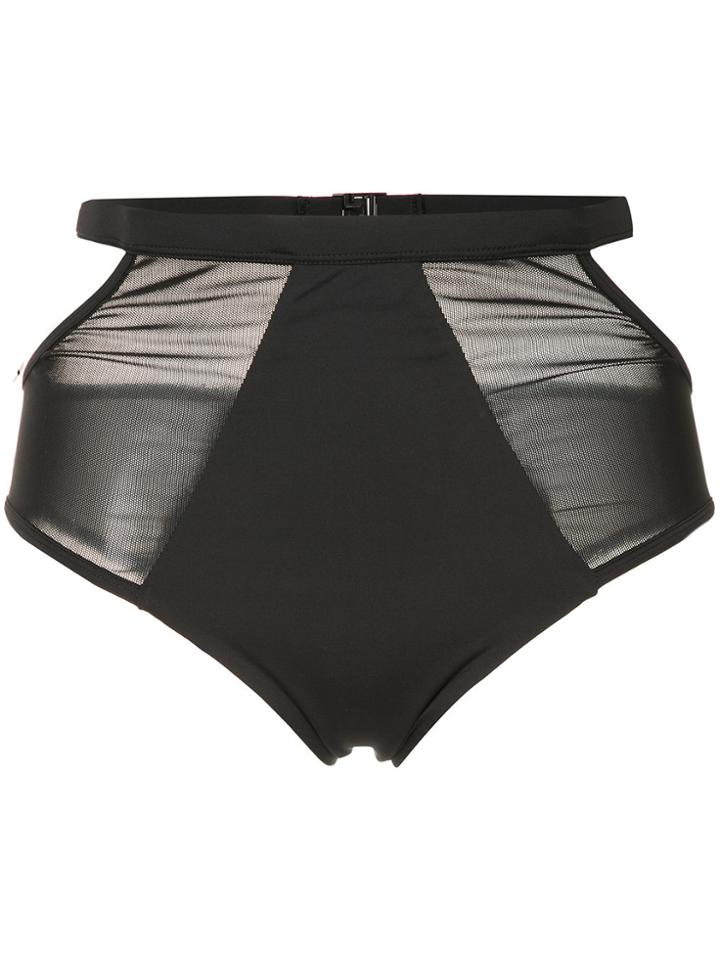 Fella Sheer Panel Finn Bikini Bottom - Black