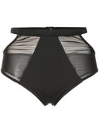Fella Sheer Panel Finn Bikini Bottom - Black