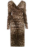 Dolce & Gabbana Dolce & Gabbana F6c1mtfsaxy Hy13m Natural