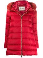 Herno Padded Coat - Red
