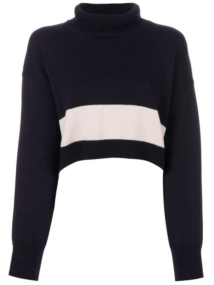 Erika Cavallini Turtle Neck Sweater - Blue