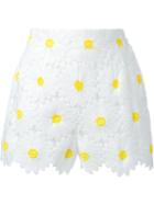 Dolce & Gabbana Daisy Applique Shorts