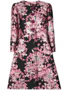 Dolce & Gabbana Floral Embroidered Tailored Coat - Pink