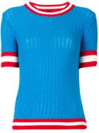 Pinko Chelsea Shortsleeved Jumper - Blue