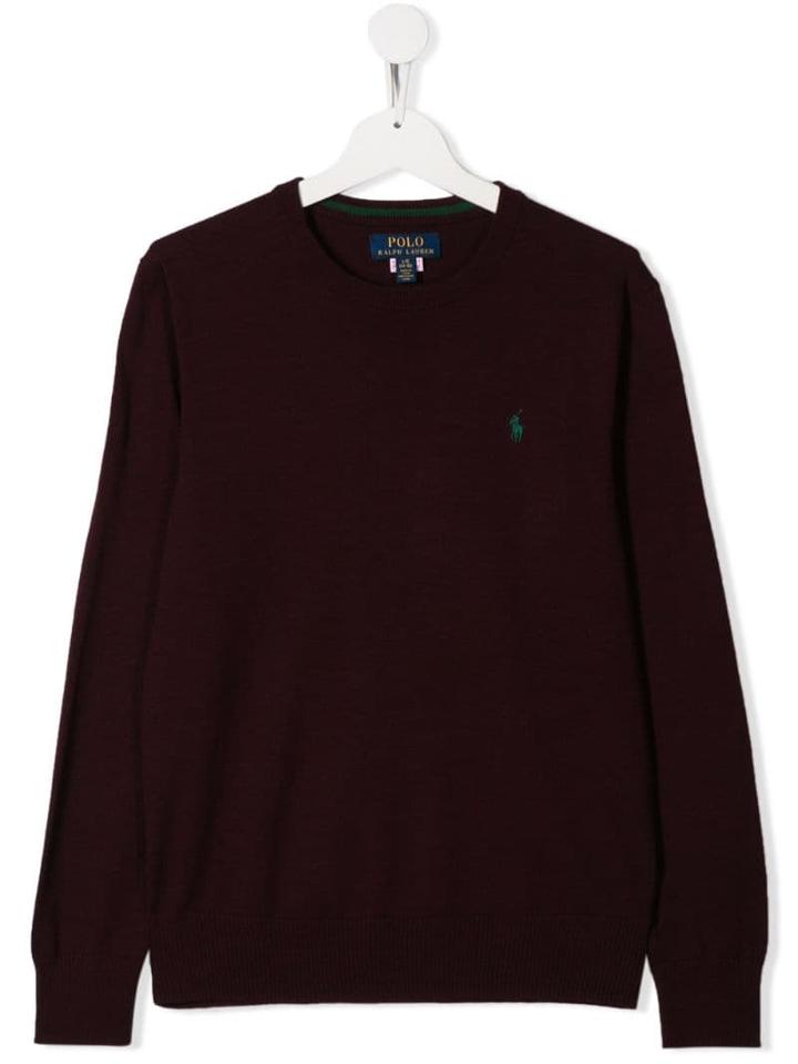 Ralph Lauren Kids Teen Logo Embroidered Sweater