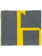 Fabiana Filippi Cashmere Striped Scarf - Grey