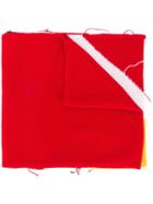 Iceberg Logo Knitted Scarf - Red