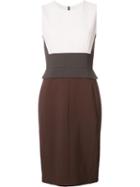 Narciso Rodriguez Colour Block Detail Fitted Dress, Women's, Size: 42, Brown, Viscose/spandex/elastane