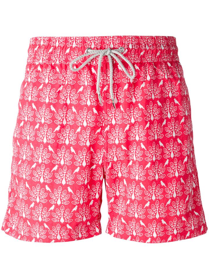Love Brand Peacock Print Swim Shorts - Red