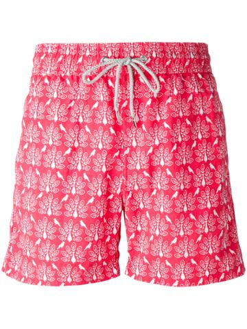 Love Brand Peacock Print Swim Shorts - Red