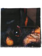 Givenchy - Rottweiler Print Scarf - Women - Wool - One Size, Women's, Black, Wool