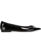 Repetto Pointed Toe Ballerinas
