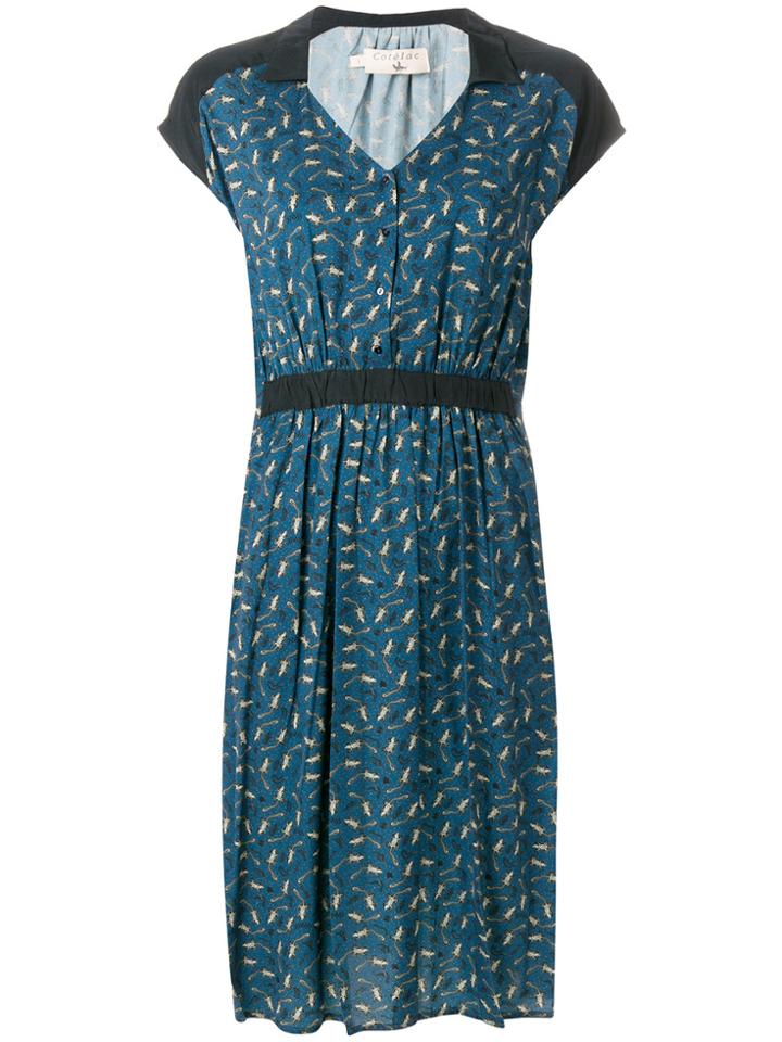 Cotélac Printed Midi Dress - Blue