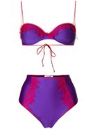 Oseree Lace Inserts Bikini Set - Purple
