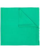 N.peal Pashmina Stole Scarf - Green