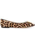 Tory Burch Chelsea Leopard Print Ballerinas - Brown