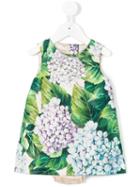 Dolce & Gabbana Kids - Sleeveless Printed Dress - Kids - Silk/cotton/viscose - 9-12 Mth, Green