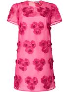 P.a.r.o.s.h. Pyttid721441025 - Pink & Purple