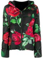Dolce & Gabbana Rose Print Puffer Jacket - Black