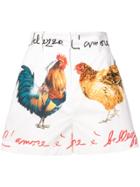 Dolce & Gabbana Rooster Print Shorts - White