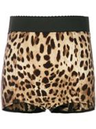Dolce & Gabbana Leopard Print French Knickers - Multicolour