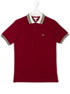 Lacoste Kids Teen Logo Polo Shirt - Red