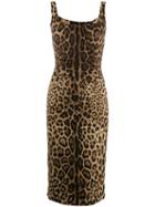 Dolce & Gabbana Leopard Print Fitted Dress - Black
