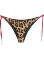 Dsquared2 Beachwear Leopard Print Bikini Bottom, Women's, Size: 44, Black, Polyamide/spandex/elastane