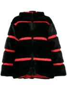 Fabio Gavazzi Panelled Puffer Jacket - Black