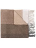 Begg & Co Fringed Edge Scarf - Neutrals