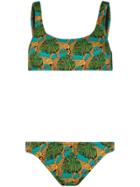 Reina Olga Jungle Fever-print Bikini - Green
