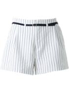 Guild Prime Pinstriped High Waist Pleated Shorts