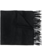 Max Mara Logo Embroidered Scarf - Black