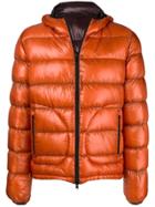 Herno Padded Winter Jacket - Yellow & Orange