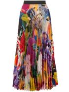 Mary Katrantzou Pleated Midi Skirt - Multicolour