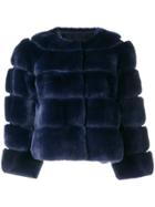 Liska Fur Fitted Jacket - Blue