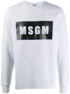 Msgm Printed Logo Sweatshirt - Grey