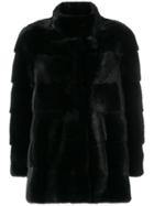 Cara Mila High Neck Coat - Blue