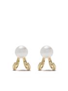 Tasaki 18kt Yellow Gold Danger Fang Earrings