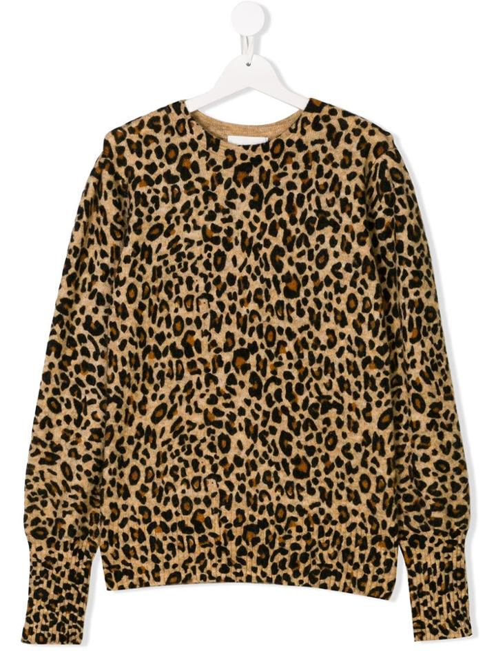 Les Coyotes De Paris Teen Leopard Print Jumper - Brown